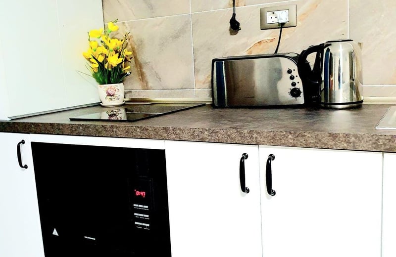 Аренда комфортной студии, 48 м², Мамаия, Констанца, Румыния